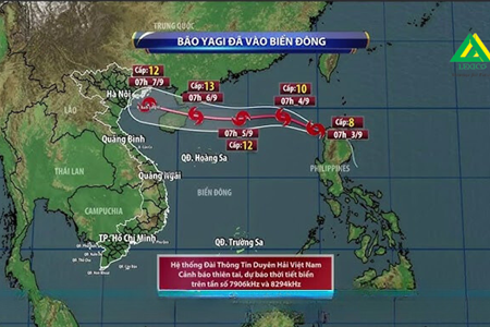 2024 年八木风暴中的公寓